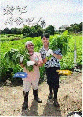 一二三影视图鉴 深夜食堂规则张贴画面